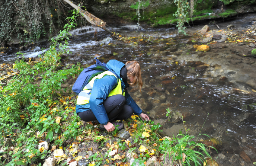 FieldTrip Romgaz 2025